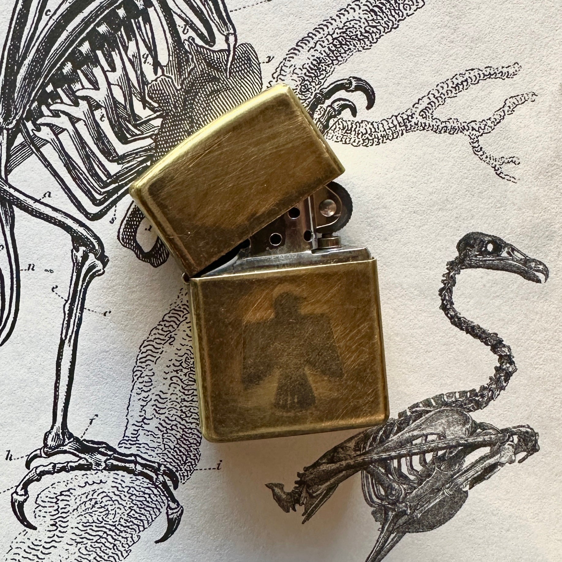 Brass "MM Bird" Zippo