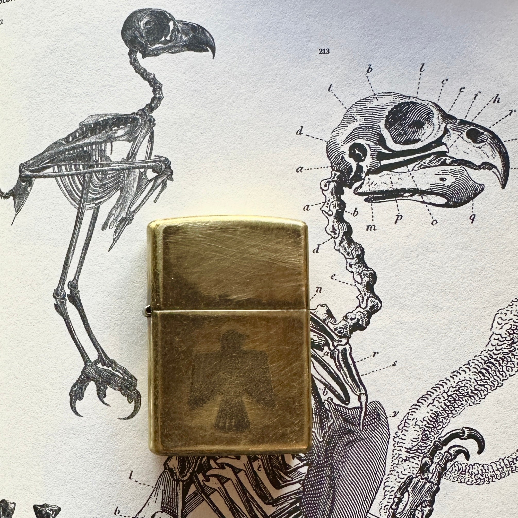 Brass "MM Bird" Zippo