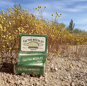 Cactus Needle Toothpicks