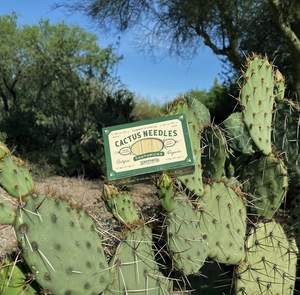 Cactus Needle Toothpicks