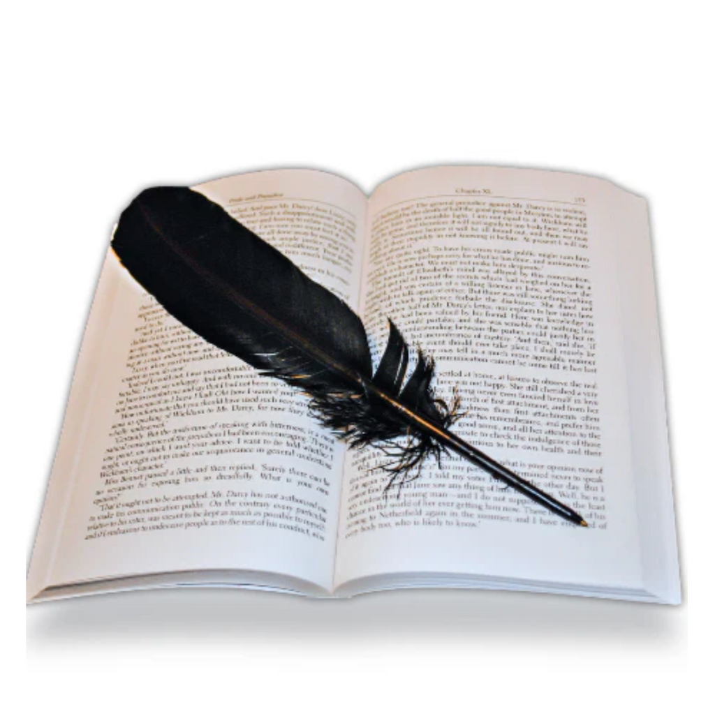 Black Turkey Feather Pen