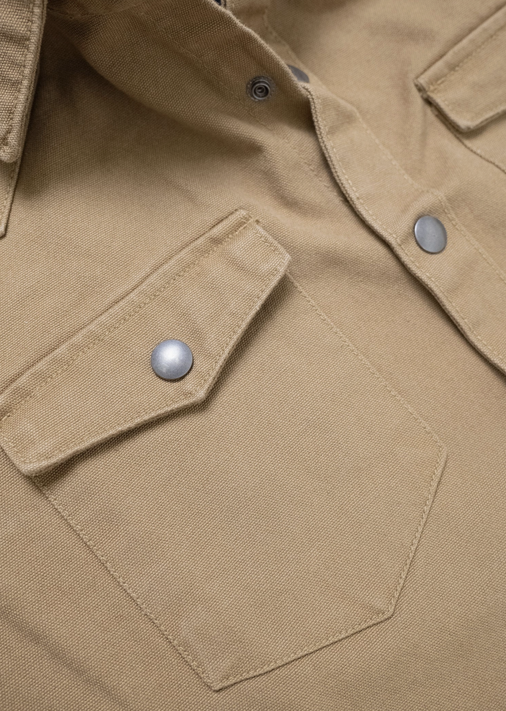 Iron + Resin Fencline Duck Canvas Shirt