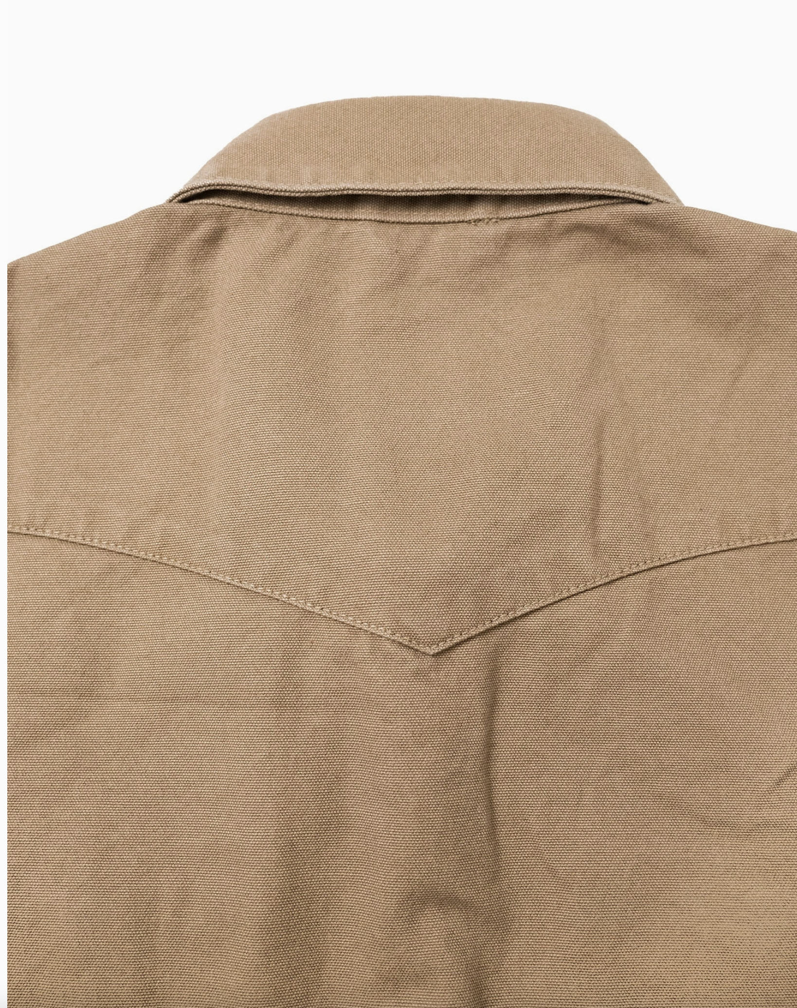 Iron + Resin Fencline Duck Canvas Shirt
