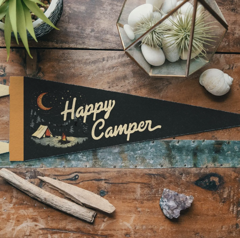 "CABIN" Pennants