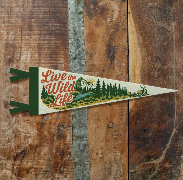 "CABIN" Pennants