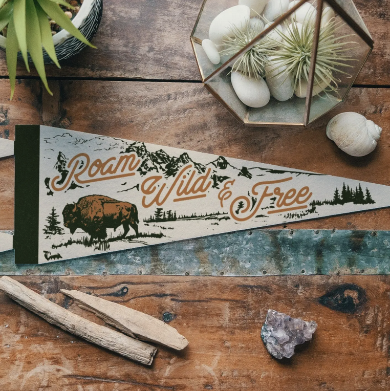 "CABIN" Pennants