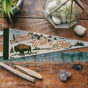 "CABIN" Pennants