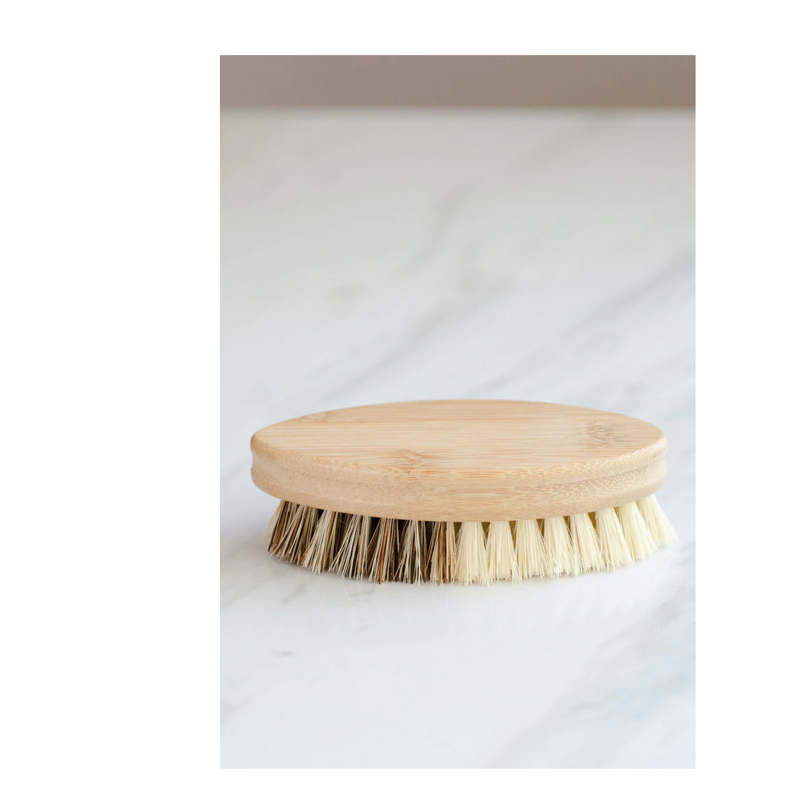 Casa Agave Veggie Brush