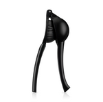 Black Citrus Press